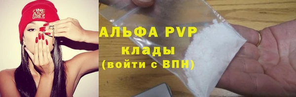 кокс Бородино