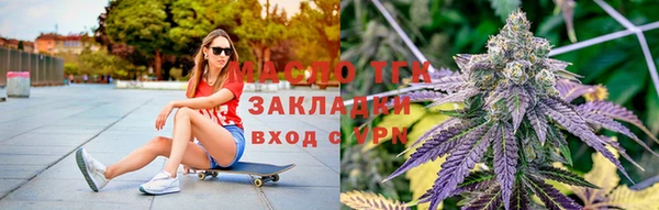 крисы Верея