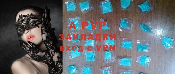 крисы Верея